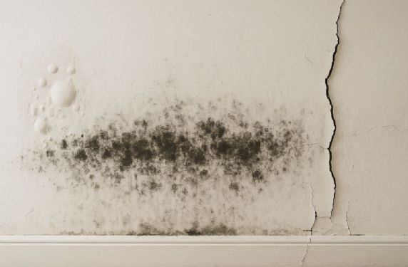 牆壁起泡、黑霉、裂開？從源頭治理到防潮翻新完整指南